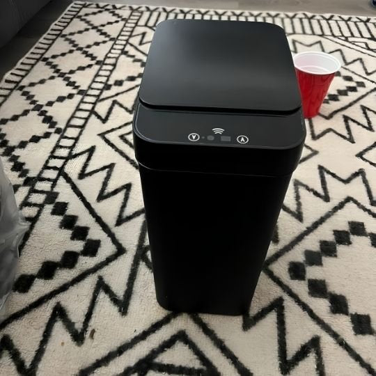 poubelle de salle bain noire sur tapis